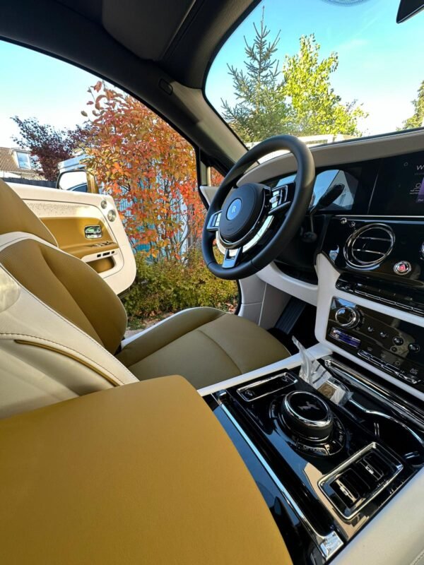 Rolls Royce Spectre - Image 8